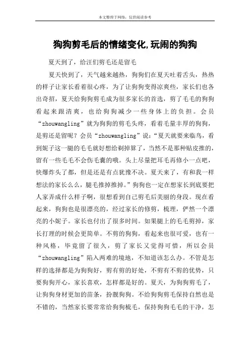 狗狗剪毛后的情绪变化,玩闹的狗狗