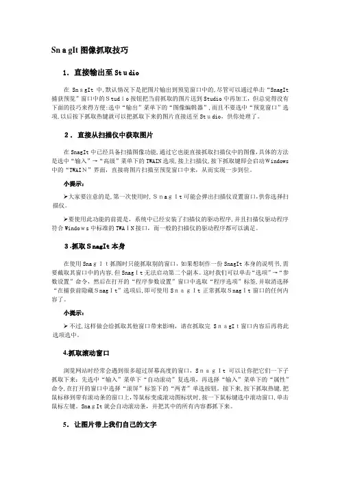 自-SnagIt图像抓取技巧 