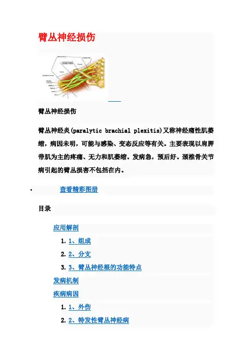 百度百科臂丛神经损伤