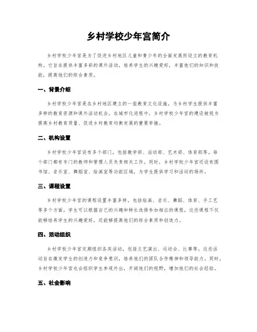 乡村学校少年宫简介