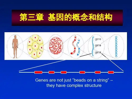 遗传学第三章 基因的概念和结构