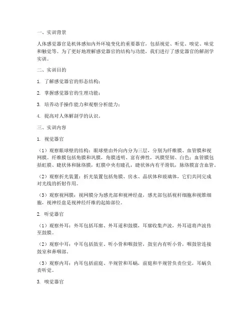 解剖学实训报告感觉器官