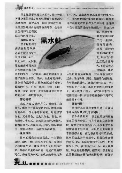黑水虻