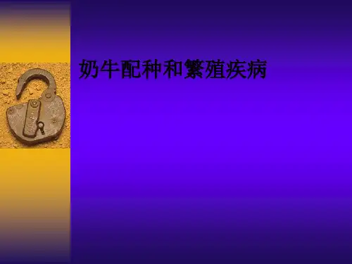 奶牛配种和繁殖疾病ppt课件