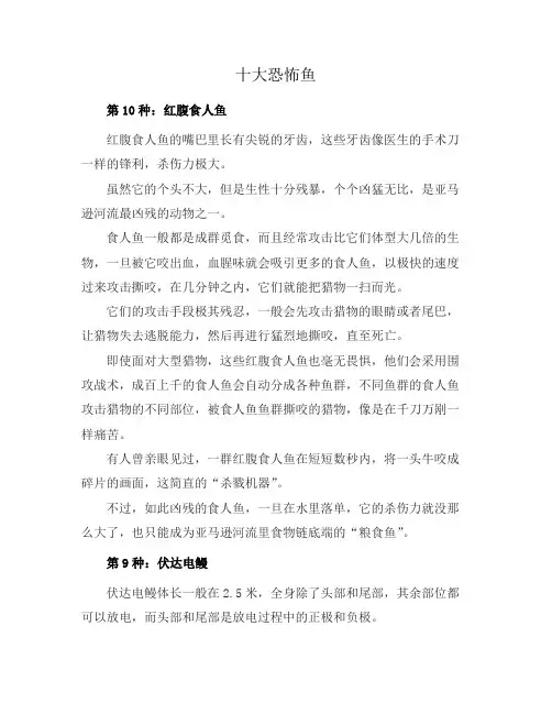 十大恐怖鱼