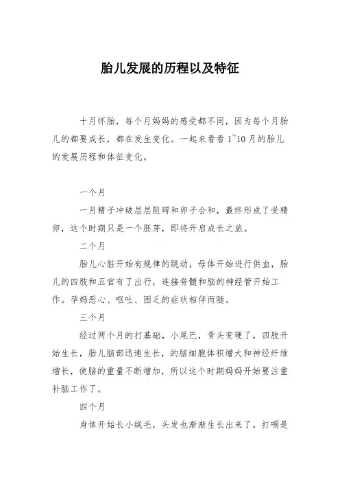 育儿知识：胎儿发展的历程以及特征