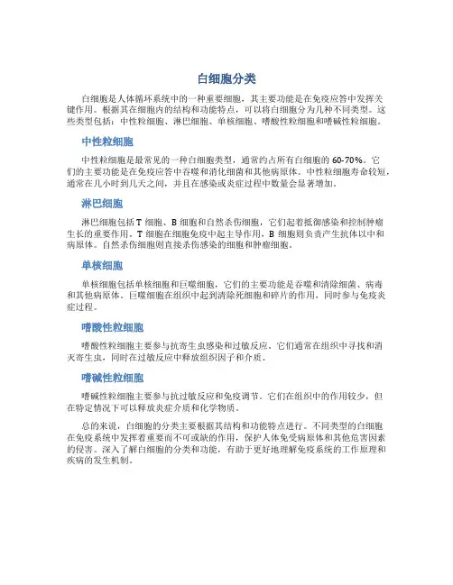 白细胞分类