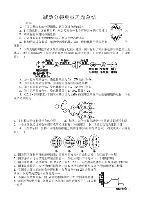 题型全 超实用的减数分裂习题总结