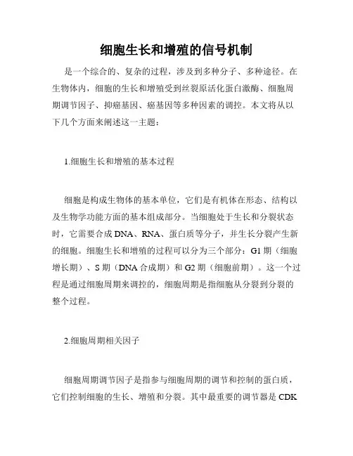 细胞生长和增殖的信号机制