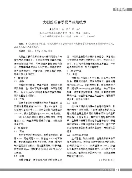 大棚丝瓜春季提早栽培技术