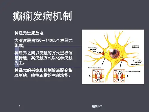 癫痫的发病机制(1)
