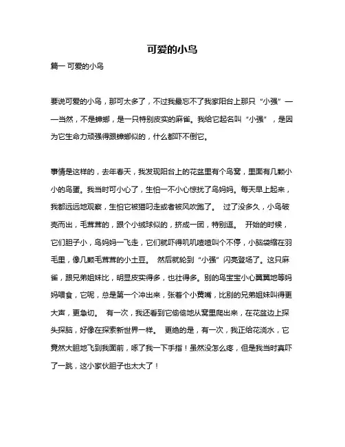作文《可爱的小鸟》