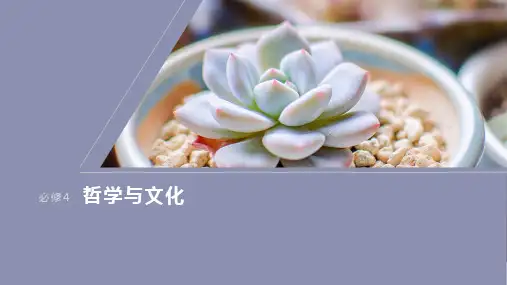 高考一轮复习政治课件(部编版)必修4大题攻略主观题对“矛盾分析法”的考查