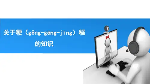 关于粳(gěng-gēng-jīng)稻的知识