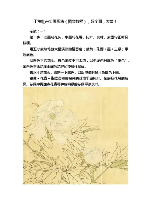 工笔牡丹步骤画法（图文教程），超全面，大爱！