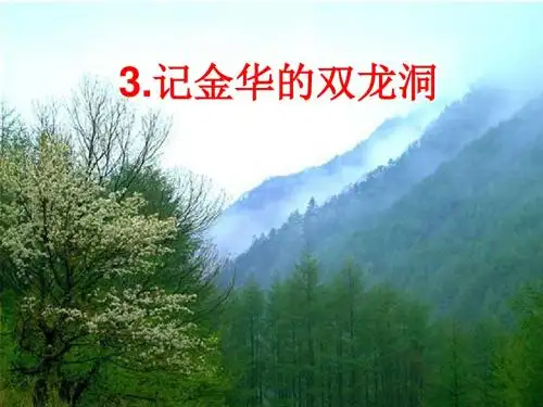 《记金华的双龙洞》第二课时课件
