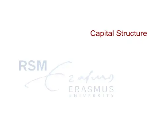 金融经济学Capital Structure课件