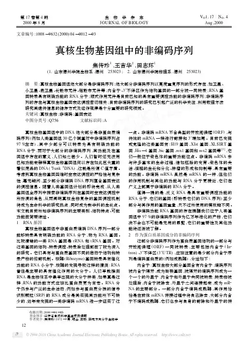 真核生物基因组中的非编码序列