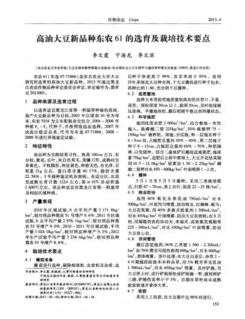 高油大豆新品种东农61的选育及栽培技术要点