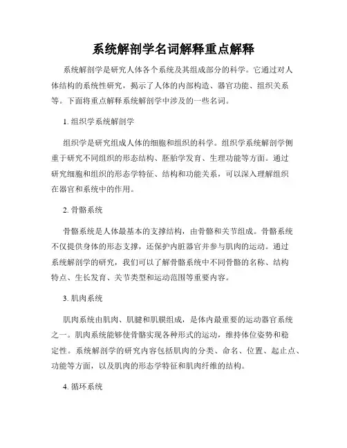 系统解剖学名词解释重点解释