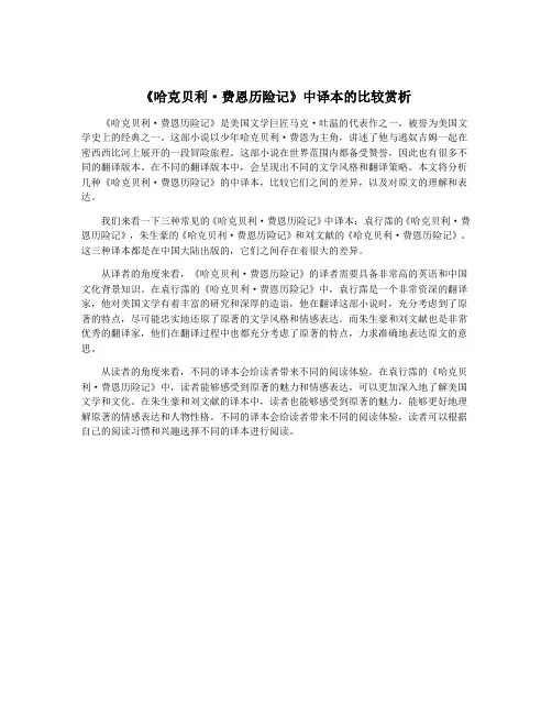《哈克贝利·费恩历险记》中译本的比较赏析