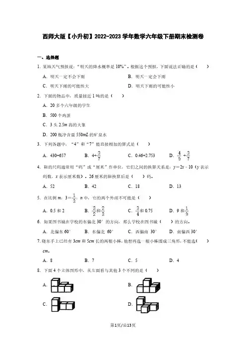 西师大版【小升初】2022-2023学年数学六年级下册期末检测卷(含解析)