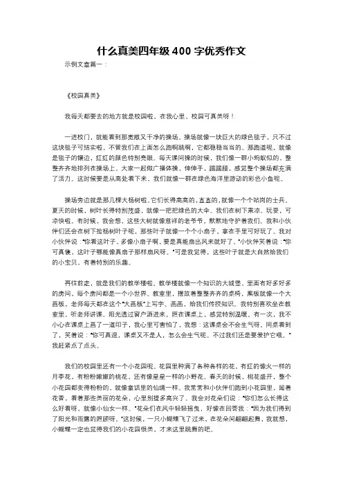 什么真美四年级400字优秀作文