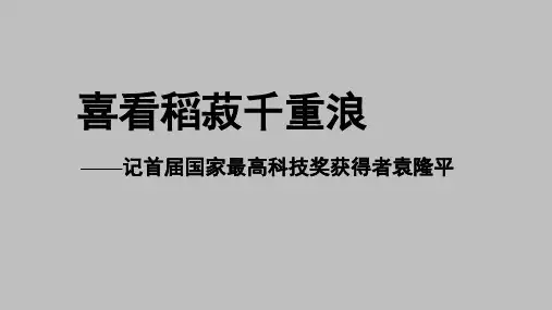 喜看稻菽千重浪 课件