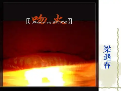 吻火综合课件