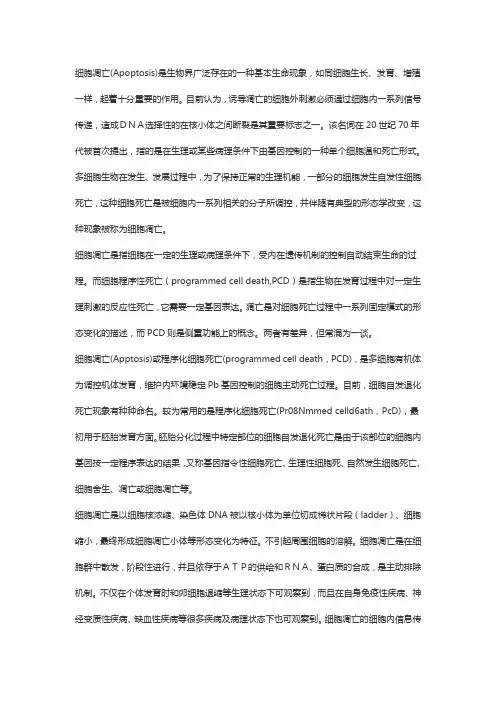 细胞凋亡(Apoptosis)信号通路