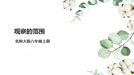 北师大版六年级上册数学《观察的范围》课件
