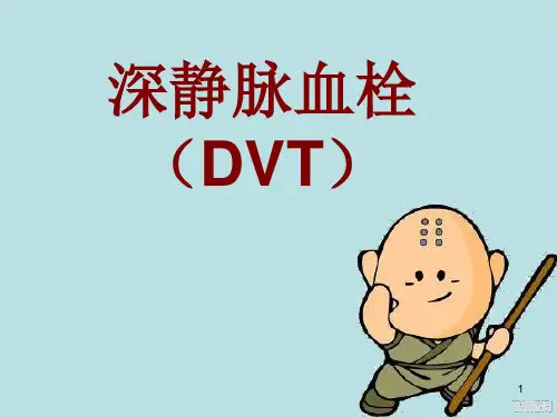 深静脉血栓(DVT)PPT课件
