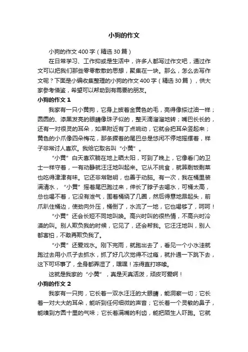 小狗的作文400字（精选30篇）