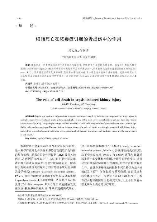 细胞死亡在脓毒症引起的肾损伤中的作用