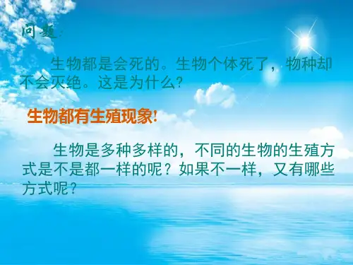 生物的生殖PPT教学课件