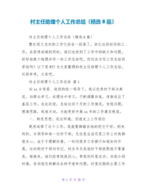村主任助理个人工作总结(精选6篇)