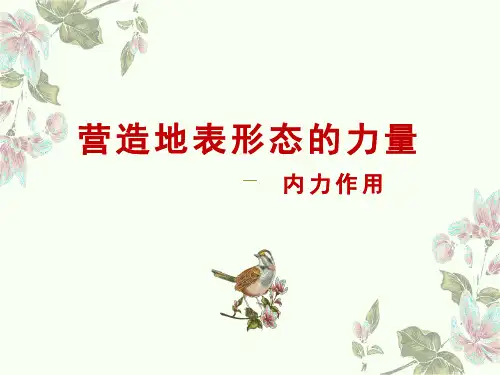 2021届高考高中地理一轮复习 《营造地表形态的力量-内力作用》课件(共37张ppt)