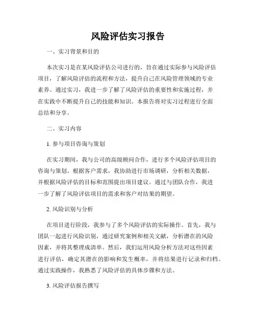 风险评估实习报告