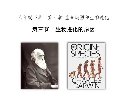 人教版八年级生物下册7.生物进化的原因课件