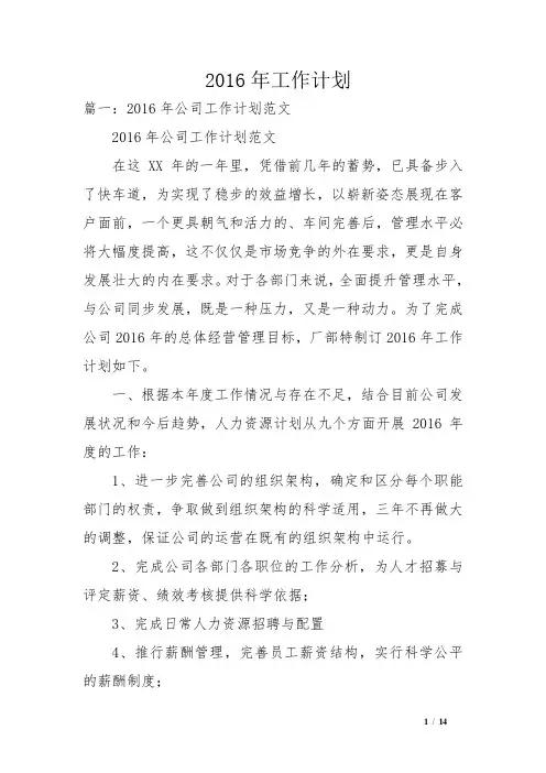 2016年工作计划
