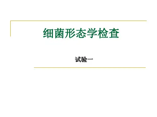 实验1细菌形态学检查
