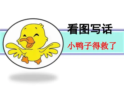 二年级看图写话《智救小鸭》一等奖公开课ppt课件