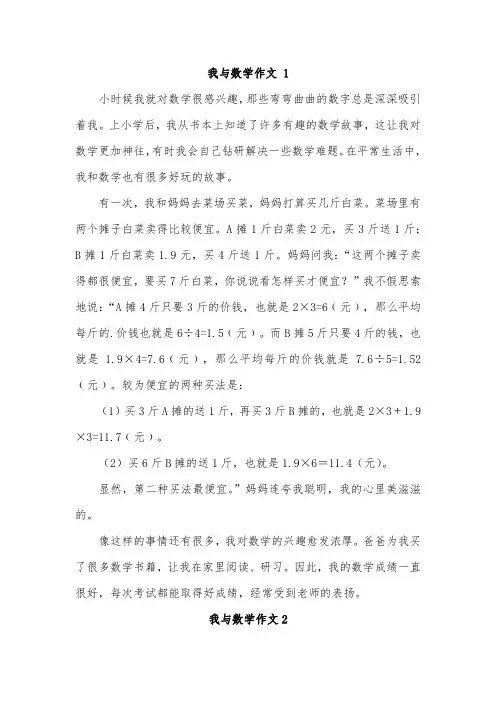 我和数学作文800