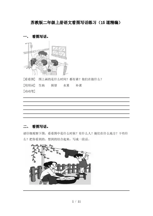 苏教版二年级上册语文看图写话练习(15道精编)