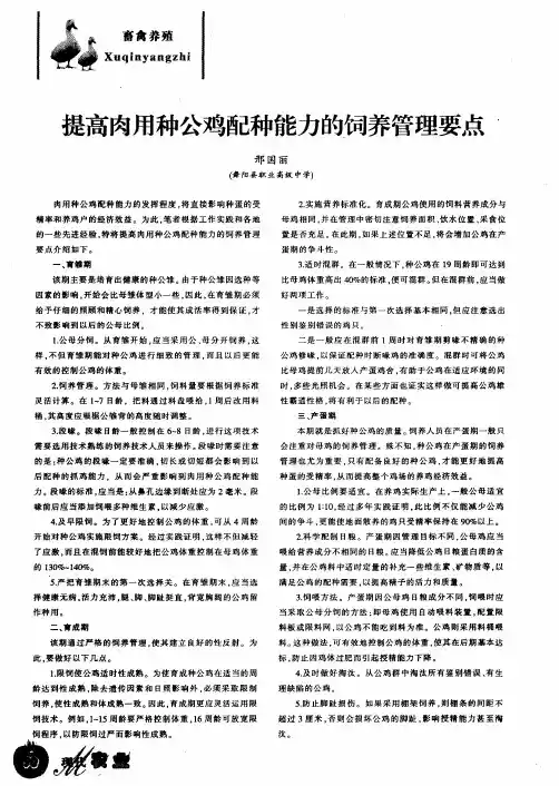提高肉用种公鸡配种能力的饲养管理要点