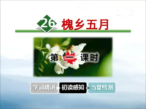 《槐乡五月》PPT【优秀课件PPT】