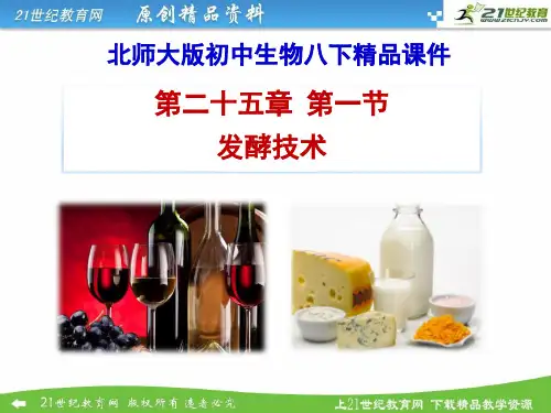 25.1 发酵技术（课件ppt）