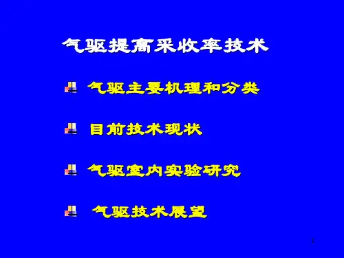 气驱提高采收率技术PPT课件