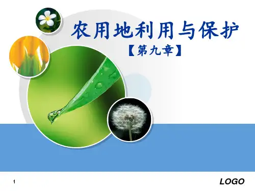 第九章 农用地利用与保护 ppt课件