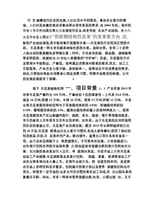 无花果项目商业计划书